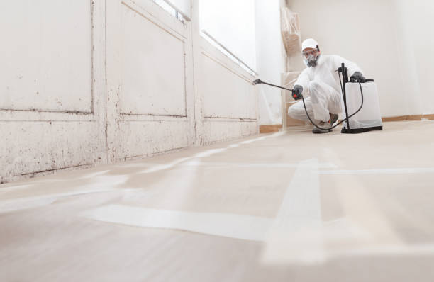 24/7 Emergency Mold Removal experts in Halifax, NC